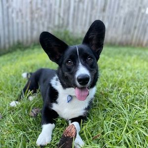 Meet your Posher, Bethany